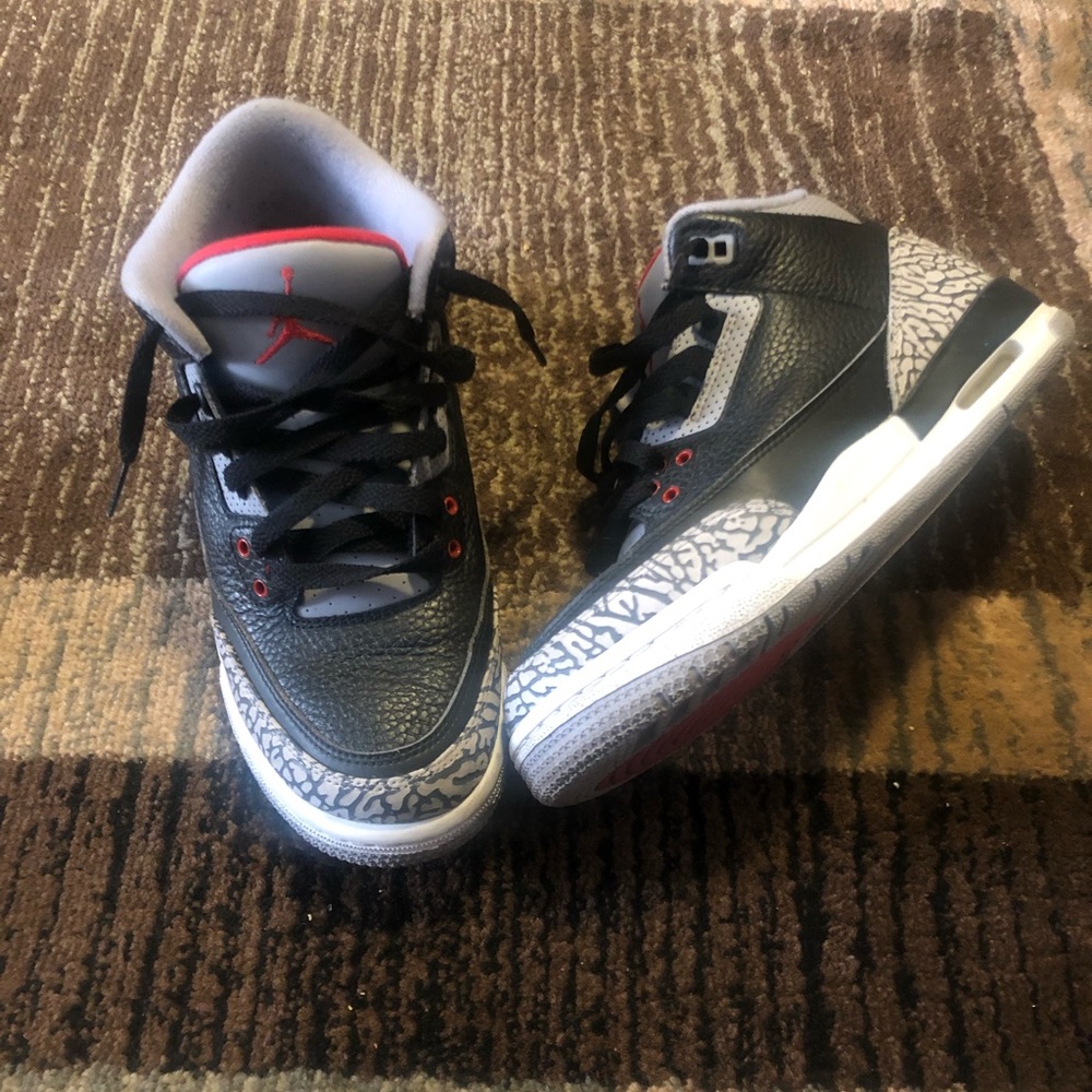 Air Jordan 3 Breds (2018)
